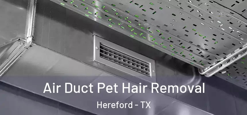  Air Duct Pet Hair Removal Hereford - TX