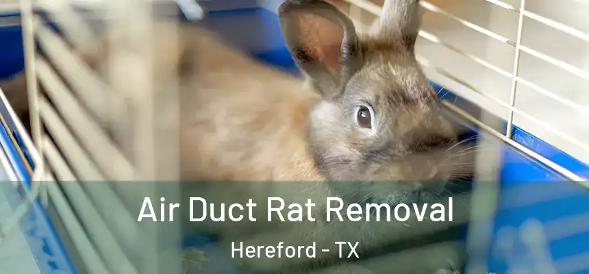 Air Duct Rat Removal Hereford - TX