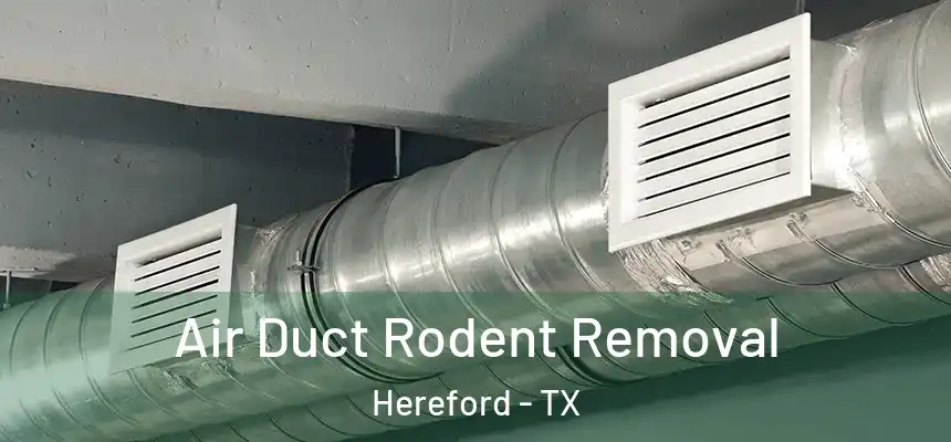 Air Duct Rodent Removal Hereford - TX