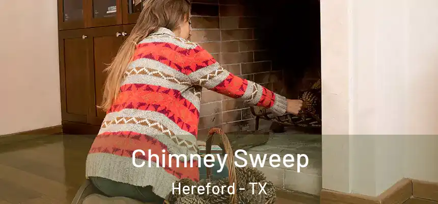 Chimney Sweep Hereford - TX