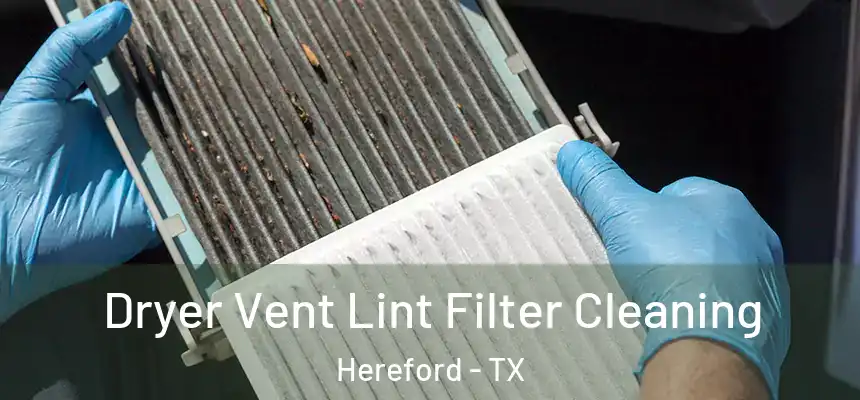 Dryer Vent Lint Filter Cleaning Hereford - TX