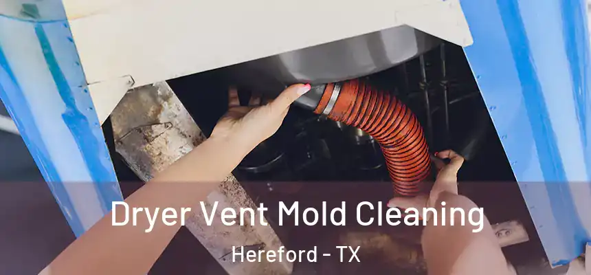 Dryer Vent Mold Cleaning Hereford - TX