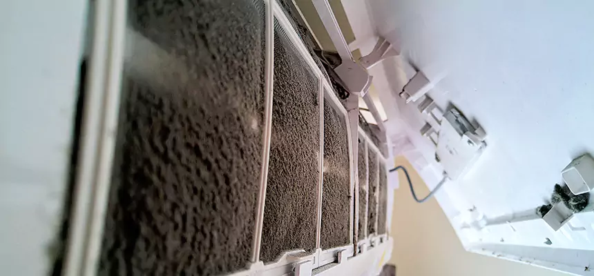 Preventive Air Duct Bacteria Removal in Hereford