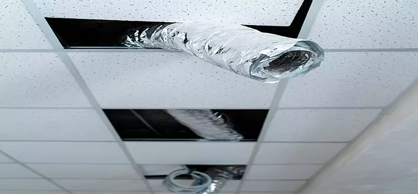 Affordable HVAC Sanitizing After Pest Removal in Hereford