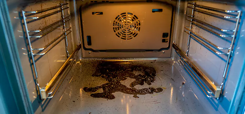 Our Dryer Vent Mold Cleaning Services in Hereford, TX