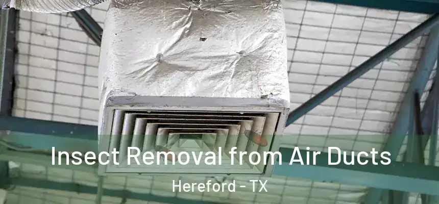  Insect Removal from Air Ducts Hereford - TX