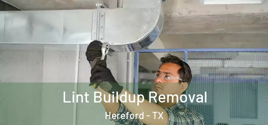 Lint Buildup Removal Hereford - TX