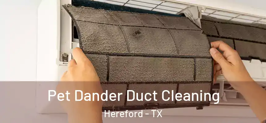 Pet Dander Duct Cleaning Hereford - TX