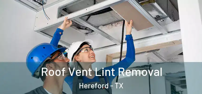 Roof Vent Lint Removal Hereford - TX