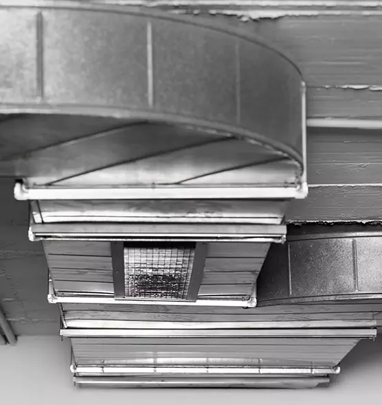 Professional Air Duct Pest Removal in Hereford, TX