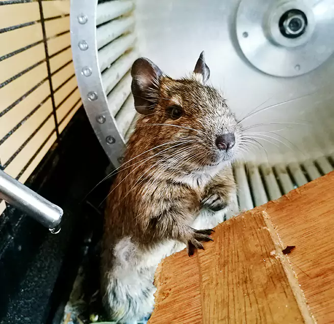 Why Homeowners & Businesses Trust Us Hereford, TX