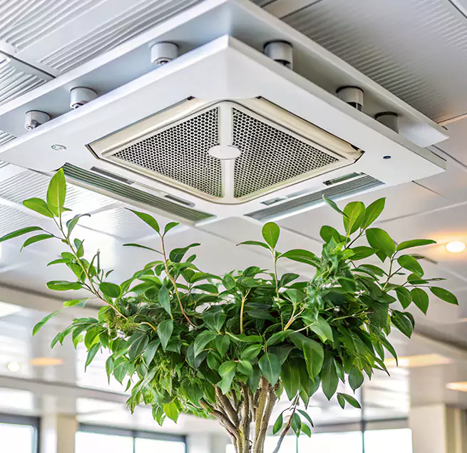 Why Homeowners & Businesses Trust Us in Hereford, TX